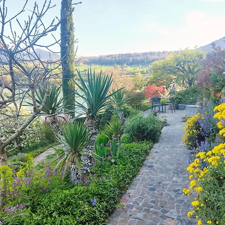 דירה With Pool, Garden & Direct At *